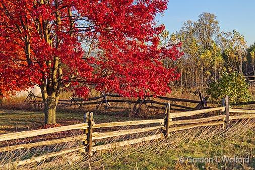 Autumn Scene_17843.jpg - Photographed near Smiths Falls, Ontario, Canada.